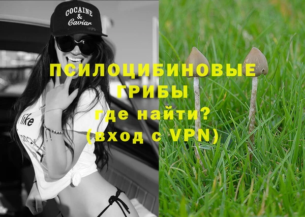 jwh Горняк