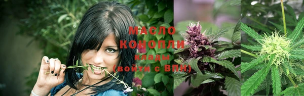 мдпв Гусь-Хрустальный