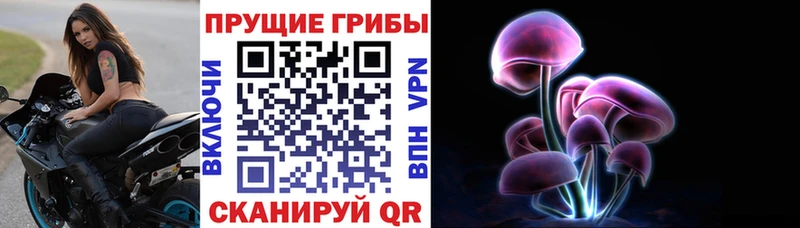 Псилоцибиновые грибы GOLDEN TEACHER Спасск-Рязанский